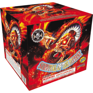 Survival of the Fittest