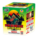 16'S WALK ON THE WILDSIDE